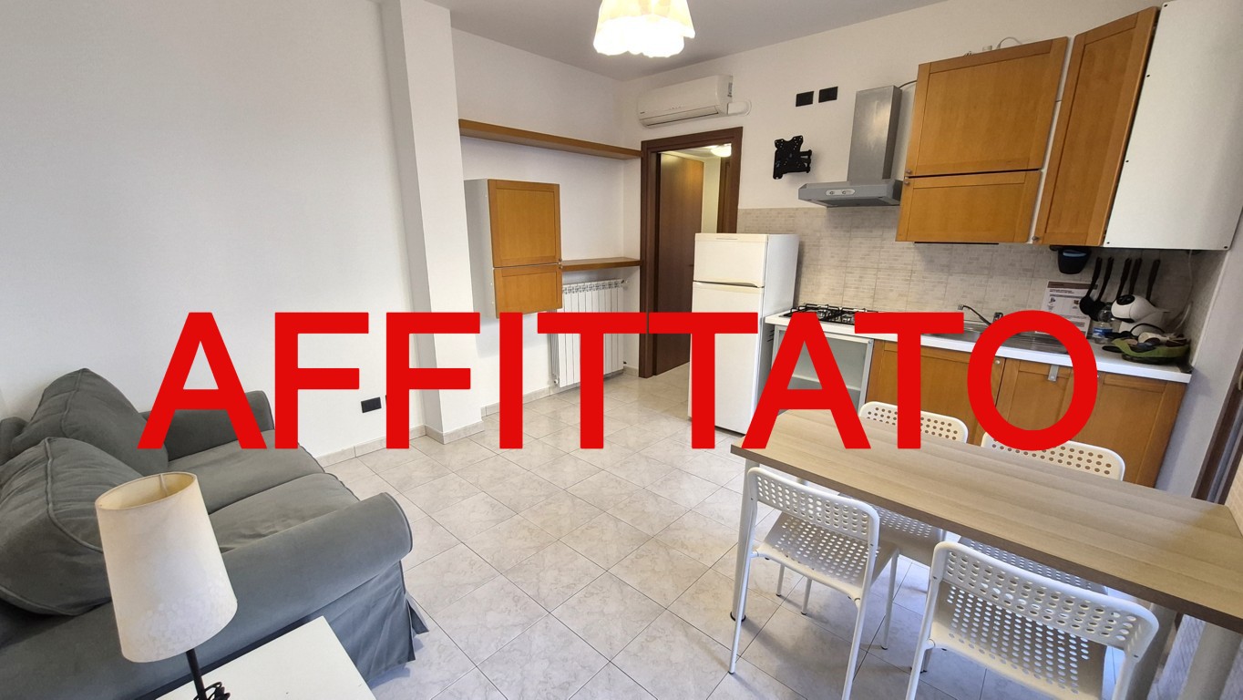 Appartamento affitto 4+4 Arese (MI)
